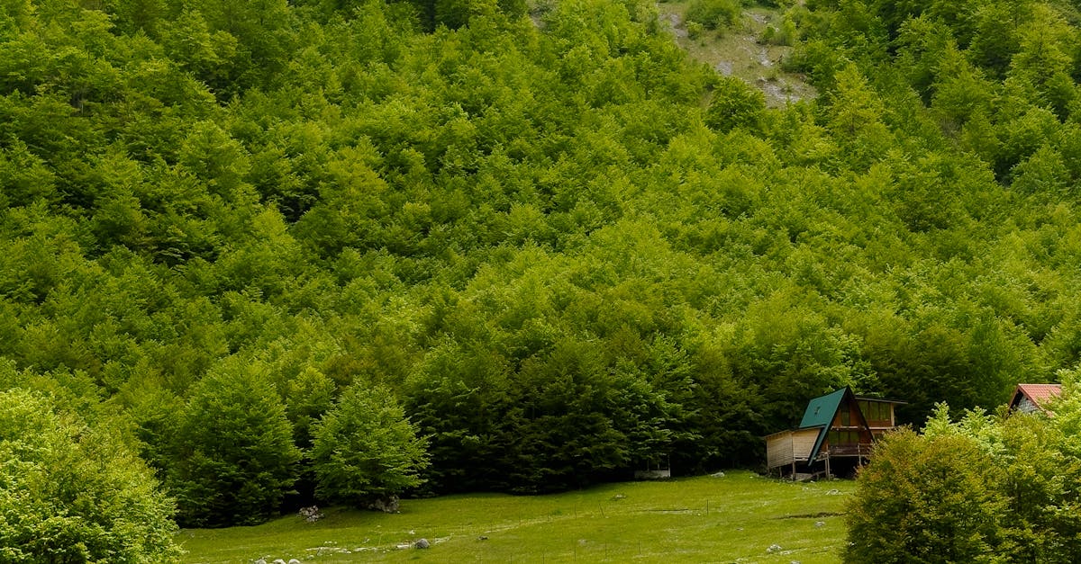 Top Escape Room Destinations in the US